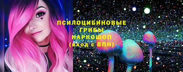 молекула духа Алексин