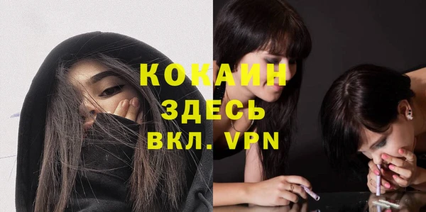сатива Абаза